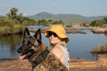 Load image into Gallery viewer, the yellow canary