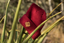 Load image into Gallery viewer, the maroon baboon