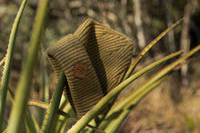 Load image into Gallery viewer, the green acacia